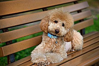 《地球防卫军》系列20周年 官方发布纪念特别影片